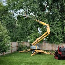 Trusted Fairview, NY Tree Services Experts