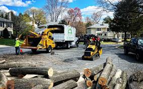 Leaf Removal in Fairview, NY